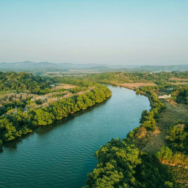 pexels-ericson-fernandes-855622-19115419